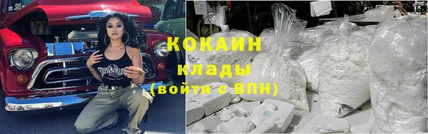 Альфа ПВП Бородино