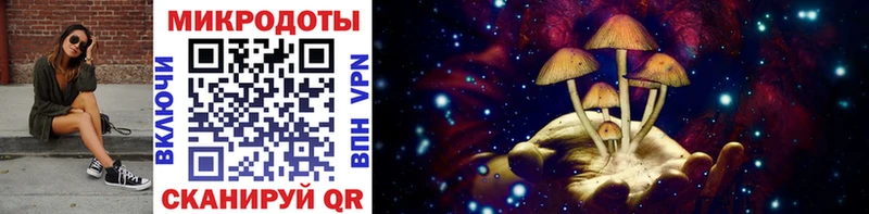 купить  сайты  hydra как зайти  Галлюциногенные грибы мицелий  Дудинка 